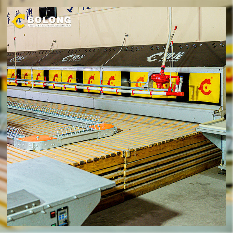 consistent quality Automatic Egg Collector